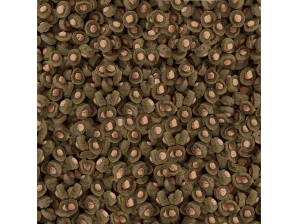 Sera Koi Professional Spirulina Color Food 7 kg - professionell mat