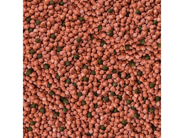 Sera Koi Junior All Seasons Probiotic 5 kg - pokarm specjalny