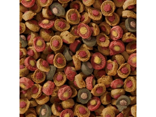 Sera Koi All Seasons Probiotic 7 kg - pokarm specjalny
