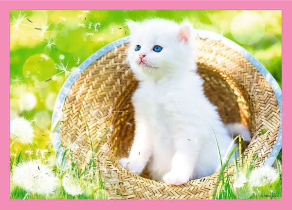 Trefl PUZZLE 4in1 TREFL FUNNY KITTENS POWDER