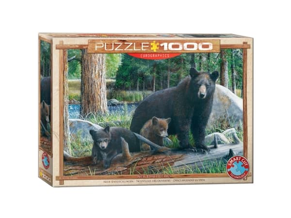Puzzle 1000 Globetrotter, Kanada