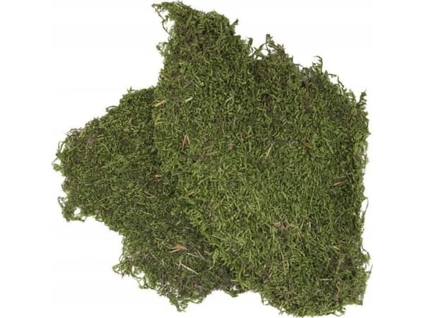 Moss terrarium substrat 100g (opprinnelsesland: Türkiye)