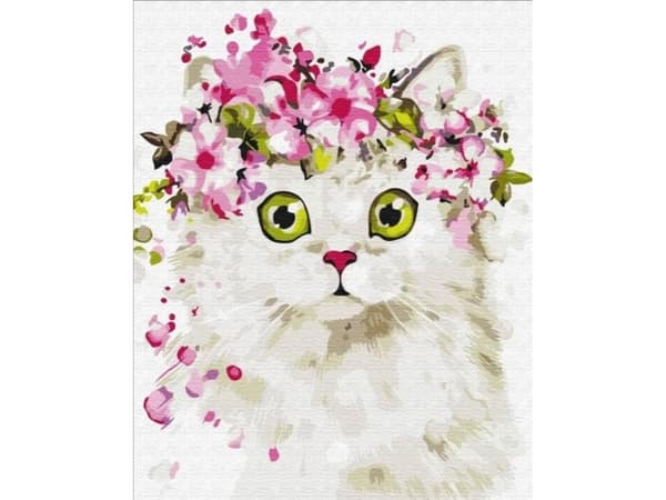BS51840 Painting by numbers Surprised kitty 40x50 cm stretcher bar