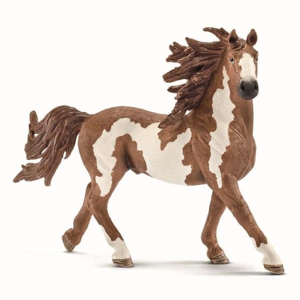 Farm World 13794 Pinto, Hingst