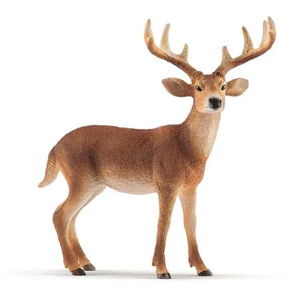 Wild Life 14818 Vitsvanshjort, Bock