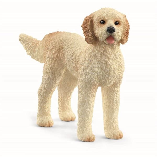 Farm World 13939 Goldendoodle