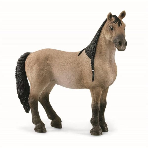 Horse Club 13948 Criollo-sto