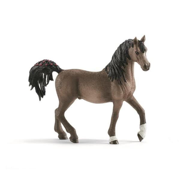 Horse Club 13907 Arabhäst, hingst
