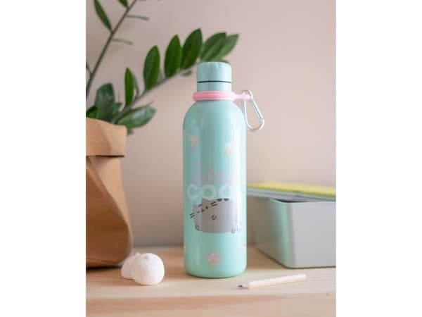 Pusheen isolert flaske mynte