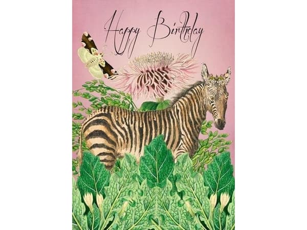 Madame Treacle B6-carnet med kuvert Födelsedag Zebra