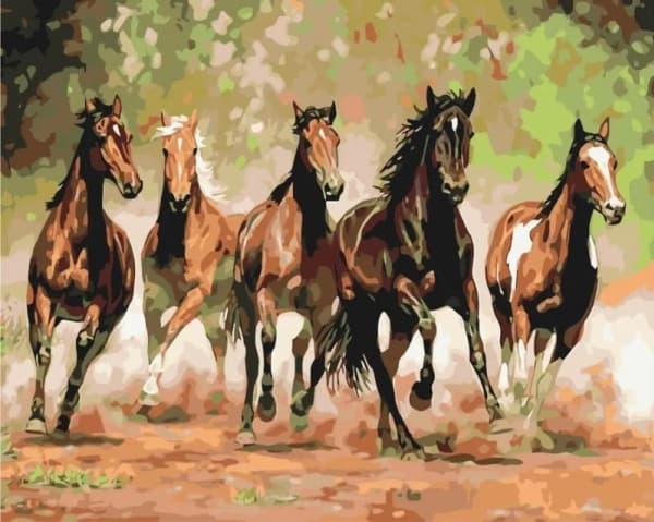 BS8288 Painting by numbers Herd of horses 40x50 cm stretcher bar
