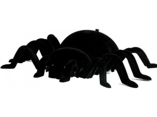 Large R/C remote control spider
