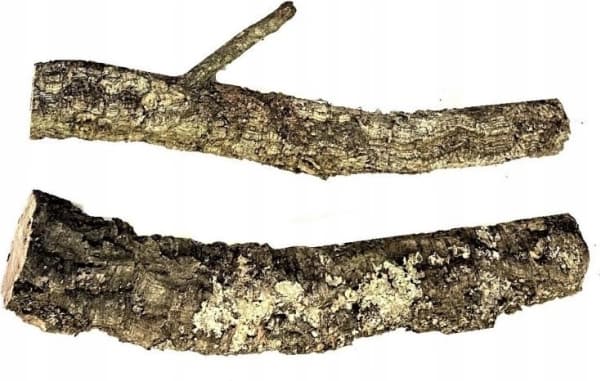 Ekgren av kork, 30 cm, S