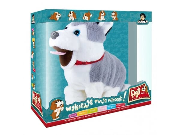 Dog Figo responding to commands 062603 06553