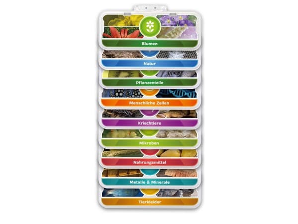 VTech 616104, 7 år, Batterier kreves, AA, Plast, Flerfarget