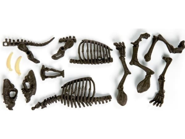 Clementoni Clementoni Smilodon Zbuduj szkielet tygrysa ZA3713