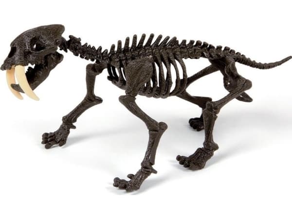 Clementoni Clementoni Smilodon Zbuduj szkielet tygrysa ZA3713