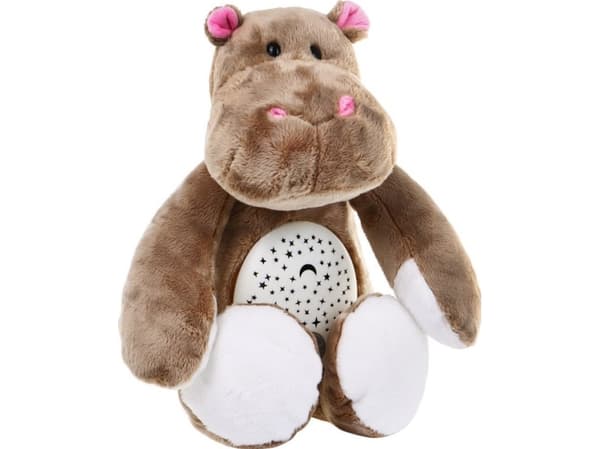 Ramiz Hippo valotoiminnolla Musiikki