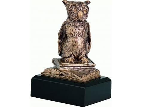 Victoria Sport Cast figurskole - ugle - læring RTY630/BR