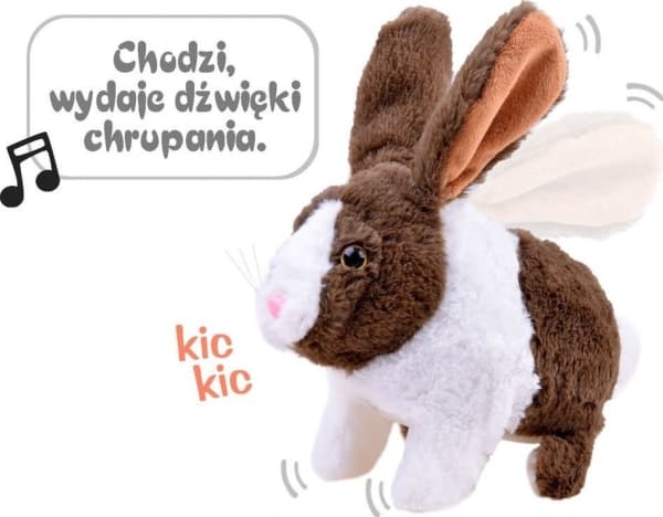 Jokomisiada (ZA2685)