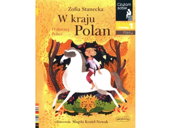 ISBN 978-83-276-6262-0, Puola, Taskukirja, 32 sivua