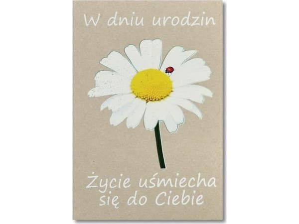 Trend CARNET B6 BIRTHDAY EKO SILVER TS146