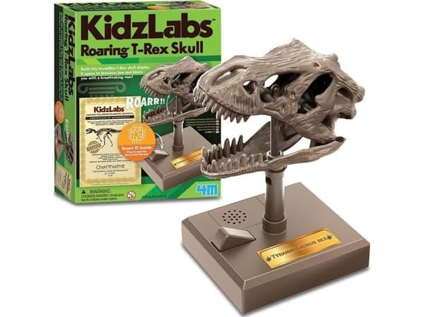 4M koulutuksellinen Roaring Skull T-Rex