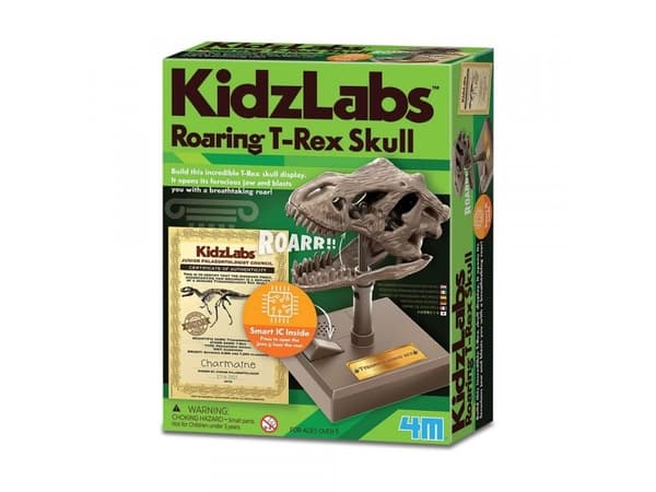 4M koulutuksellinen Roaring Skull T-Rex
