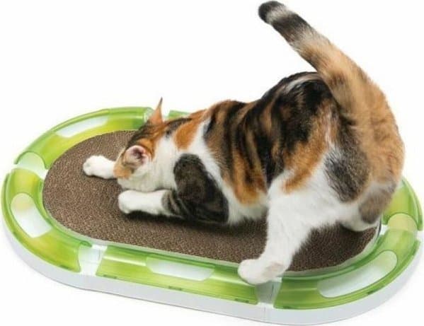 Catit Senses 2.0 Oval Scratcher klösbräda i papp, för Catit-banor