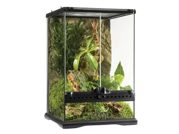LITET terrarium i glas, 45x45x30cm