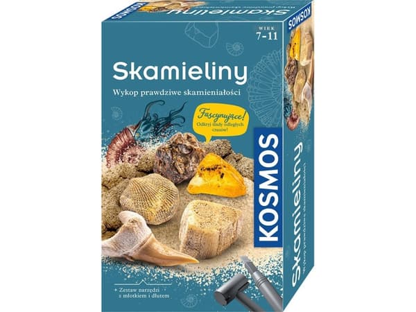 Archaeological Fossils Set PIATNIK