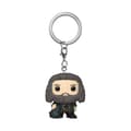 Miniatyrbild 1 av 2: Samlarfigur - FUNKO - Harry Potter Holiday - Hagrid - Pop! - Interiör