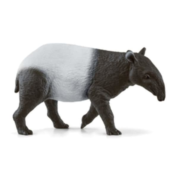 SCHLEICH Wild Life Tapir Figurine - För barn från 3 år - Beige färg