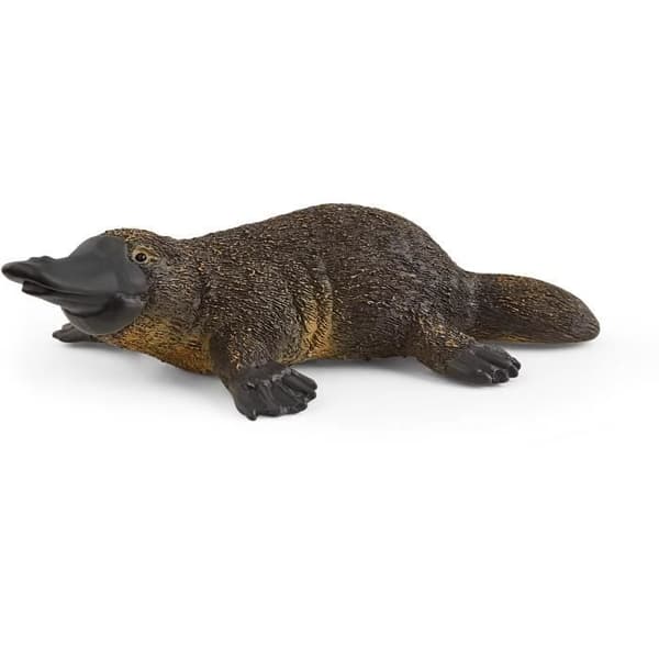 SCHLEICH Figurine - Platypus - Wild Life - För barn - Flerfärgad
