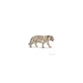 Miniatyrbild 1 av 4: Schleich Figur 14731 - Savannah djur - Vit vit tiger