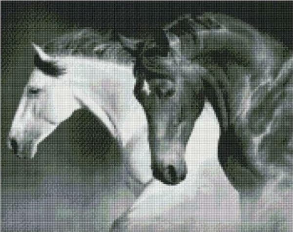 Diamond mosaic - Black and white power 40x50cm