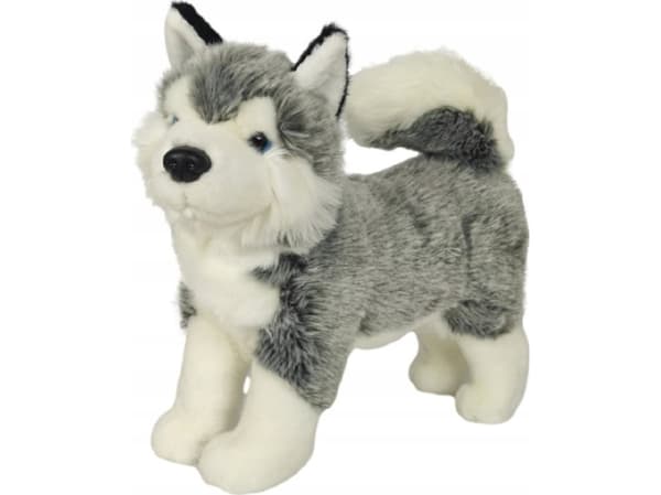 Husky seisoo 32cm