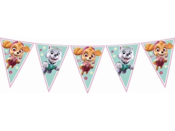 Paw Patrol Skye -koristekoriste