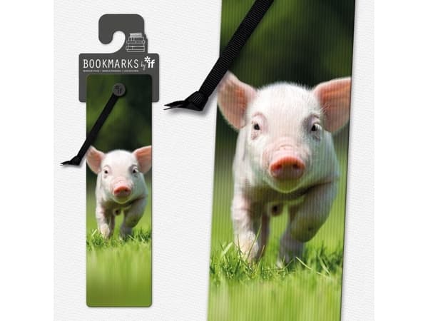 3D-bokmerke 15409 - Gris
