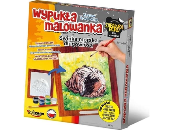 Convex painting furry guinea pig