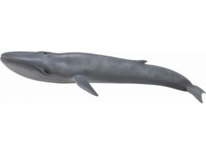 COLLECTA Blue whale (XL), 88834