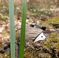 Miniatyrbild 5 av 5: Wudimals - Igelkottsfigur - K-PLAY
