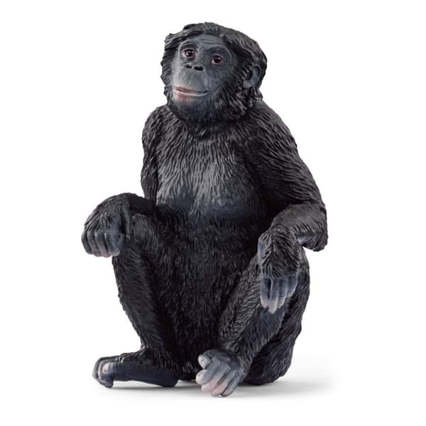 Wild Life - 14875 Bonobo Hona