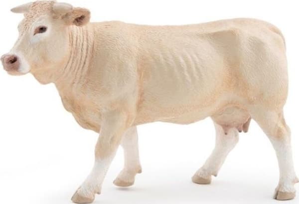 Cow Blonde fra Aquitaine