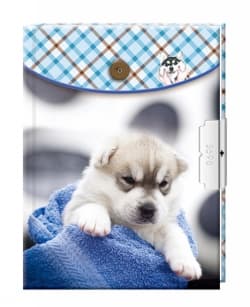 Leksaker Pyssel Suntoys Dagbok med lås 15x11cm Hund