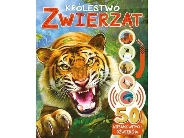 50 fantastiske lyder Kingdom 91949