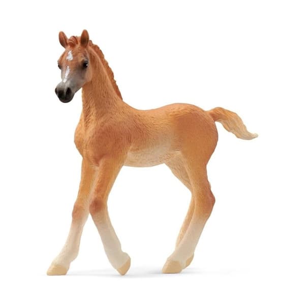 schleich® HORSE CLUB Arabhäst Föl 13984
