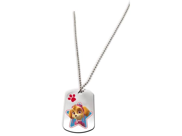 Paw Patrol Tags - Terrific Tags