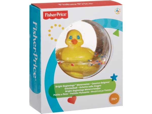 Mattel FP BB SWIMMING DUCK WB (75676)