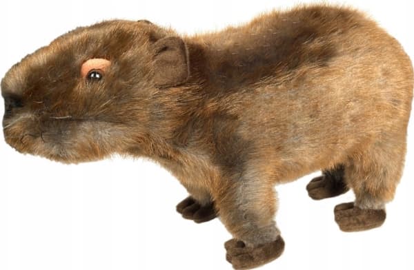 Capybara maskot 33cm 13993